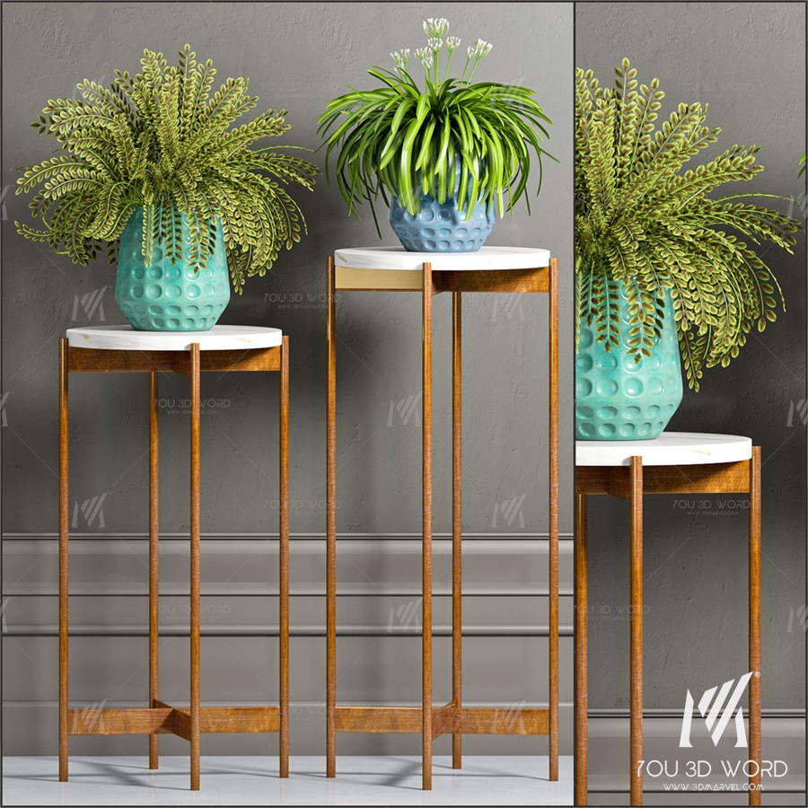 PLANT-40